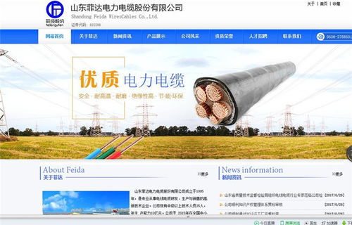 高密网站建设服务，为何凤鸣网络备受青睐？